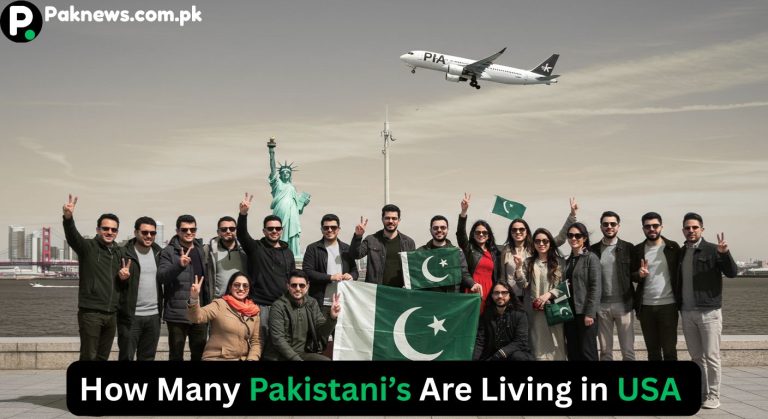 How Many Pakistani Live in USA in 2025?