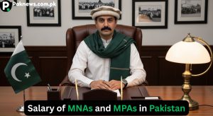 Salary of MNAs & MPAs in Pakistan 2025