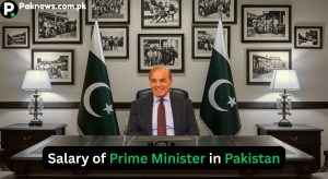 Prime Minister Salary of Pakistan 2025
